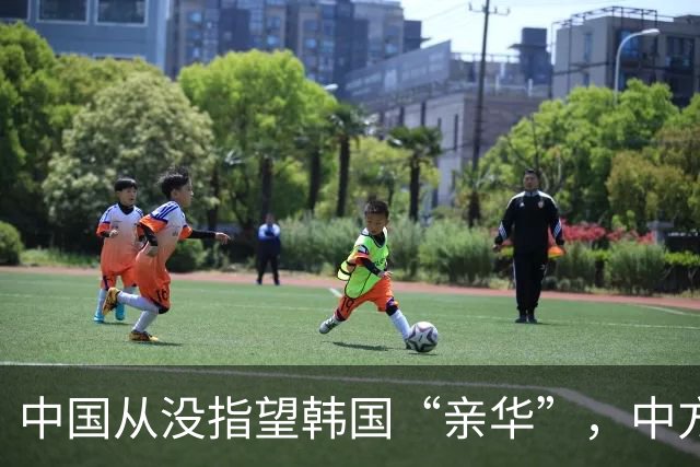 中国从没指望韩国“亲华”，中方对李在明的评价，可谓一针见血