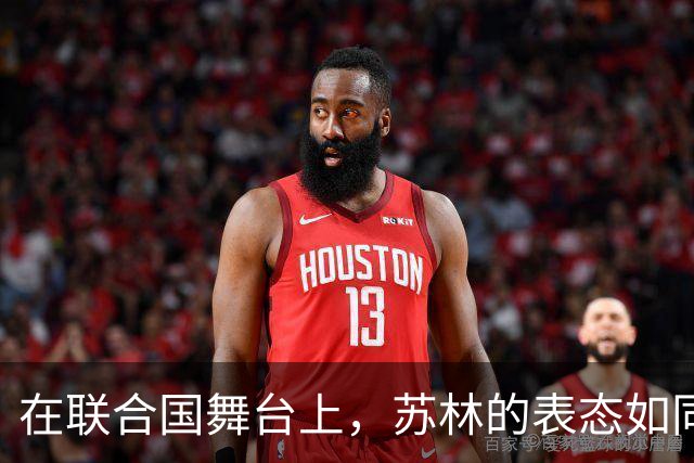 在联合国舞台上，苏林的表态如同一场外交“大秀