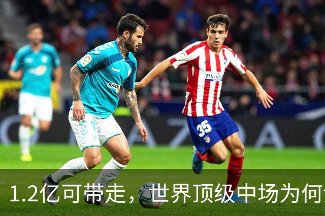 1.2亿可带走，世界顶级中场为何没人报价？